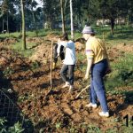 Hauptschüler 1987 bei der Arbeit, Foto: Zöhren